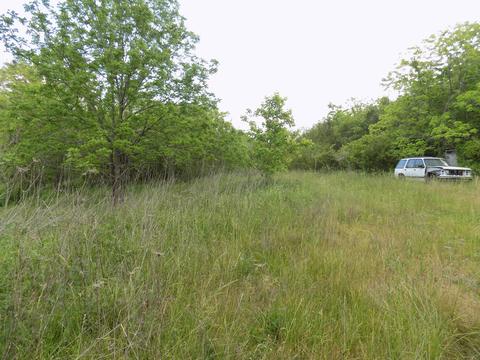 361 Mountain Valley Rd Eidson Tn 37731, Eidson, TN 37731 photo 16