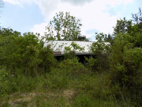 361 Mountain Valley Rd Eidson Tn 37731, Eidson, TN 37731 photo 17