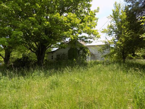 361 Mountain Valley Rd Eidson Tn 37731, Eidson, TN 37731 photo 18
