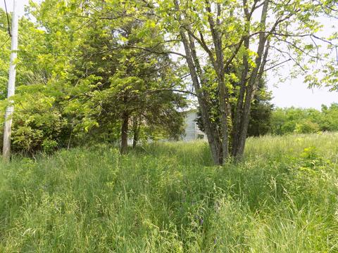 361 Mountain Valley Rd Eidson Tn 37731, Eidson, TN 37731 photo 19