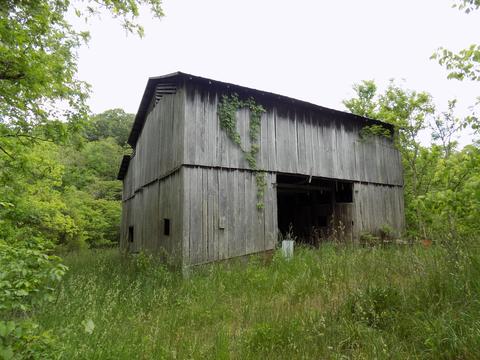 361 Mountain Valley Rd Eidson Tn 37731, Eidson, TN 37731 photo 4