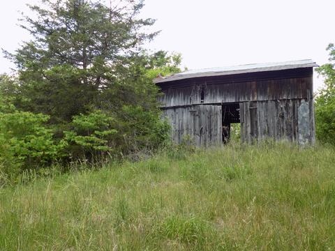 361 Mountain Valley Rd Eidson Tn 37731, Eidson, TN 37731 photo 12