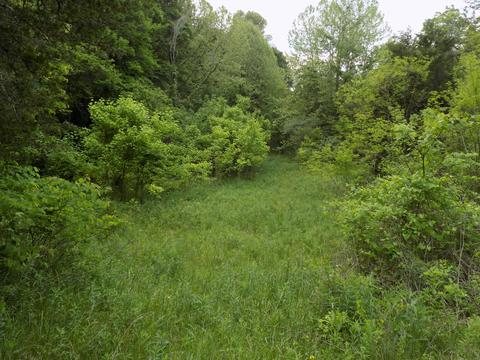 361 Mountain Valley Rd Eidson Tn 37731, Eidson, TN 37731 photo 8