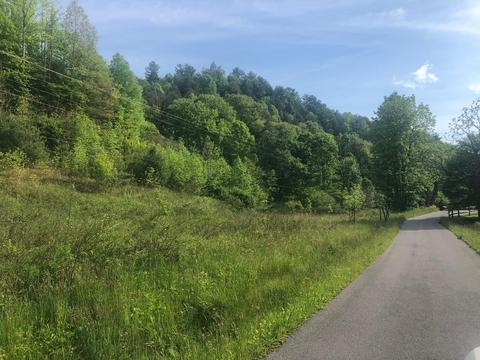 110 Gentry Mountain Road Erwin Tn 37650, Erwin, TN 37650 photo 1