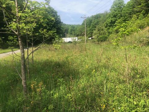 110 Gentry Mountain Road Erwin Tn 37650, Erwin, TN 37650 photo 3