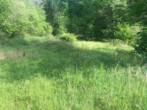 110 Gentry Mountain Road Erwin Tn 37650, Erwin, TN 37650 photo 2