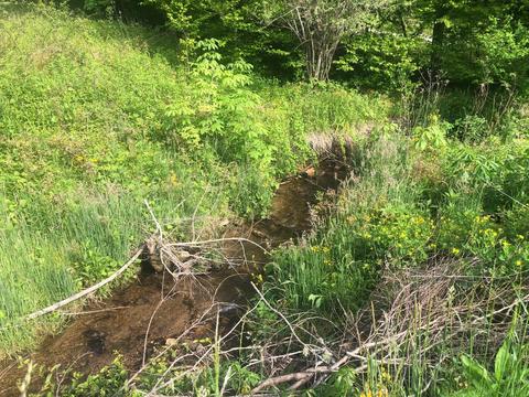 110 Gentry Mountain Road Erwin Tn 37650, Erwin, TN 37650 photo 6