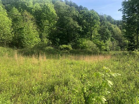 110 Gentry Mountain Road Erwin Tn 37650, Erwin, TN 37650 photo 4