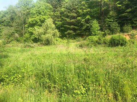 110 Gentry Mountain Road Erwin Tn 37650, Erwin, TN 37650 photo 5