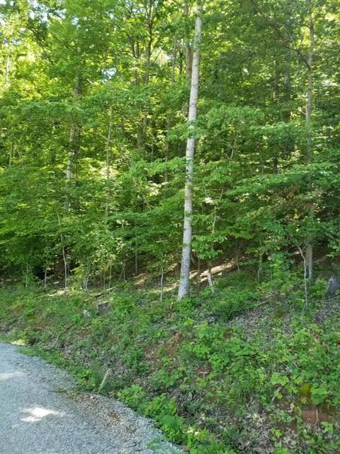 2252 Island Park Circle Talbott Tn 37877, Talbott, TN 37877 photo 3