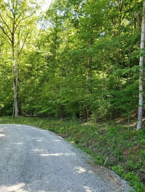 2252 Island Park Circle Talbott Tn 37877, Talbott, TN 37877 photo 1