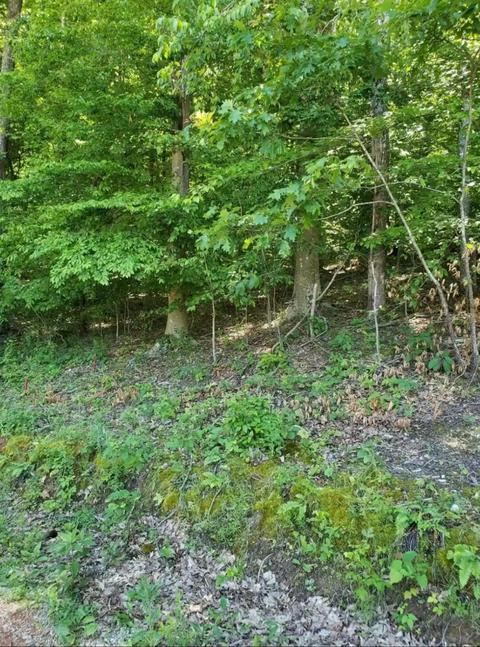 2248 Island Park Circle Talbott Tn 37877, Talbott, TN 37877 photo 4