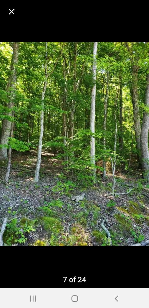 2248 Island Park Circle Talbott Tn 37877, Talbott, TN 37877 photo 2