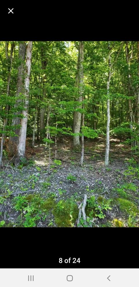 2248 Island Park Circle Talbott Tn 37877, Talbott, TN 37877 photo 1