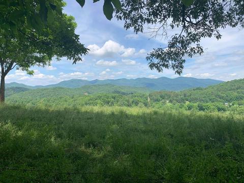 N/a Wolfe Creek Road, Del Rio, TN 37727