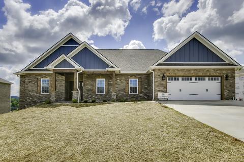 1233 Panoramic Vista Gray Tn 37615, Gray, TN 37615 photo 1