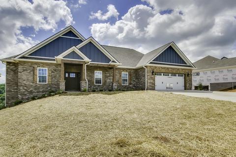 1233 Panoramic Vista Gray Tn 37615, Gray, TN 37615 photo 2