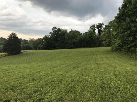 2031 Conklin Road Limestone Tn 37681, Limestone, TN 37681 photo 85