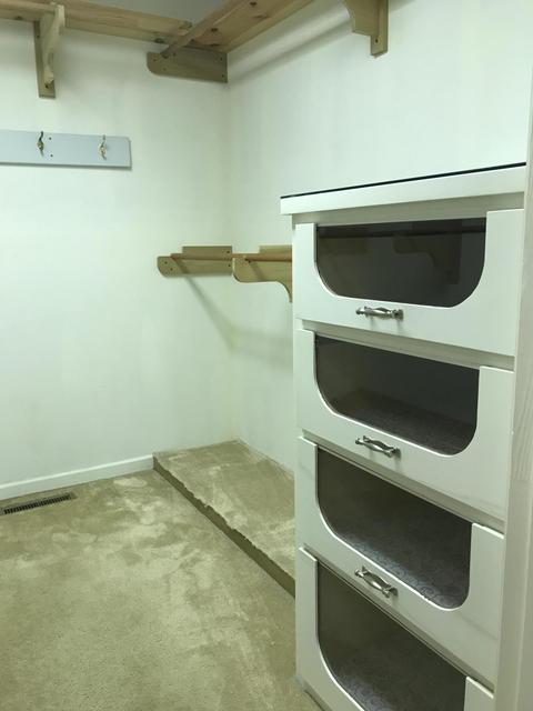 2031 Conklin Road Limestone Tn 37681, Limestone, TN 37681 photo 12