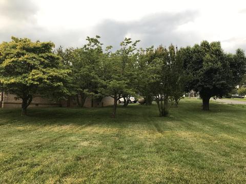2031 Conklin Road Limestone Tn 37681, Limestone, TN 37681 photo 86