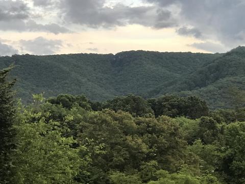 2031 Conklin Road Limestone Tn 37681, Limestone, TN 37681 photo 83