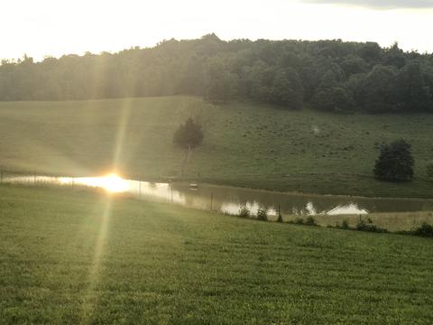 2031 Conklin Road Limestone Tn 37681, Limestone, TN 37681 photo 84