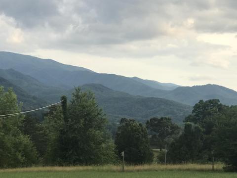 2031 Conklin Road Limestone Tn 37681, Limestone, TN 37681 photo 81