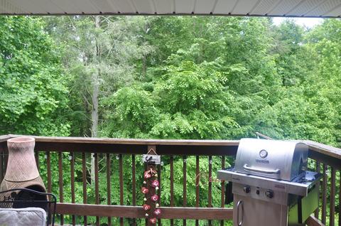 109 Cherokee Circle Erwin Tn 37650, Erwin, TN 37650 photo 16