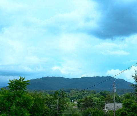 804 E Hillcrest Drive Johnson City Tn 37604, Johnson City, TN 37604 photo 24