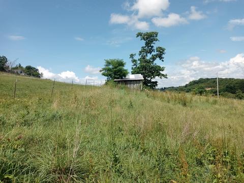 582 Branch Road Fall Branch Tn 37656, Fall Branch, TN 37656 photo 5