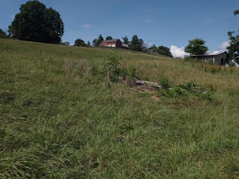 582 Branch Road Fall Branch Tn 37656, Fall Branch, TN 37656 photo 7