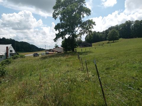 582 Branch Road Fall Branch Tn 37656, Fall Branch, TN 37656 photo 3