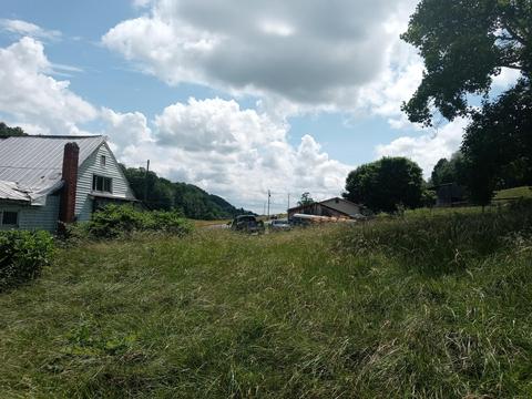 582 Branch Road Fall Branch Tn 37656, Fall Branch, TN 37656 photo 6