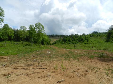 8093 Waters Edge Road Duffield Va 24244, Duffield, VA 24244 photo 13