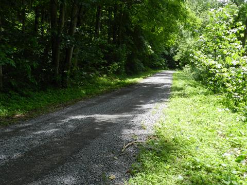 8093 Waters Edge Road Duffield Va 24244, Duffield, VA 24244 photo 25