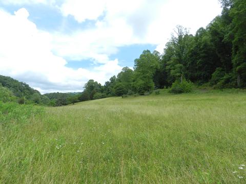 8093 Waters Edge Road Duffield Va 24244, Duffield, VA 24244 photo 5