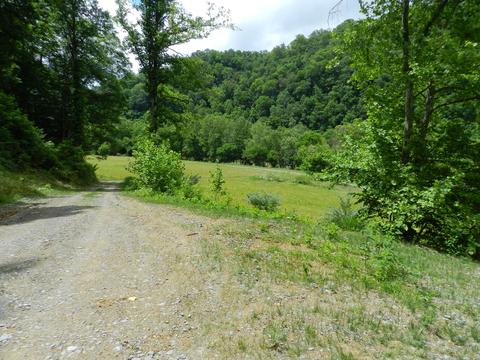 8093 Waters Edge Road Duffield Va 24244, Duffield, VA 24244 photo 6