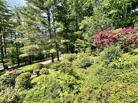164 NW Dotson Avenue Wise Va 24293, Wise, VA 24293 photo 66