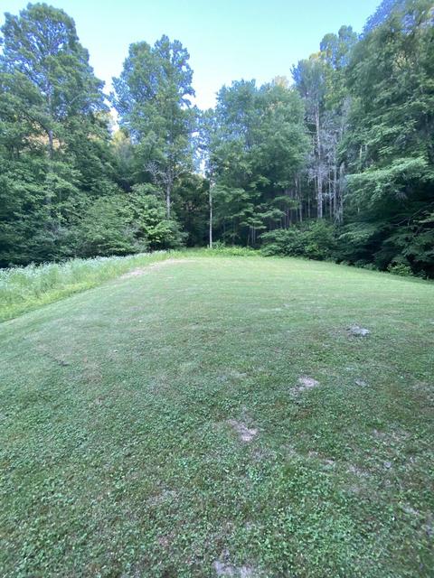 201 Tilson Mountain Road Erwin Tn 37650, Erwin, TN 37650 photo 14
