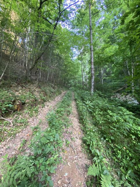 201 Tilson Mountain Road Erwin Tn 37650, Erwin, TN 37650 photo 16