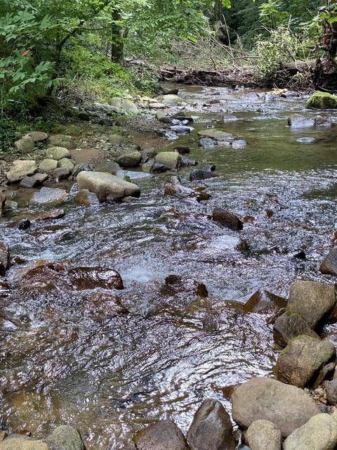 201 Tilson Mountain Road Erwin Tn 37650, Erwin, TN 37650 photo 5