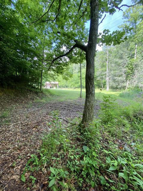 201 Tilson Mountain Road Erwin Tn 37650, Erwin, TN 37650 photo 7