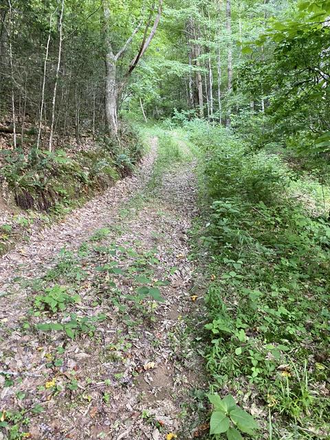 201 Tilson Mountain Road Erwin Tn 37650, Erwin, TN 37650 photo 15
