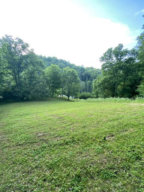 201 Tilson Mountain Road Erwin Tn 37650, Erwin, TN 37650 photo 13