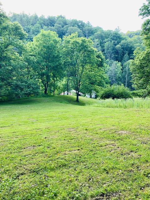 201 Tilson Mountain Road Erwin Tn 37650, Erwin, TN 37650 photo 18