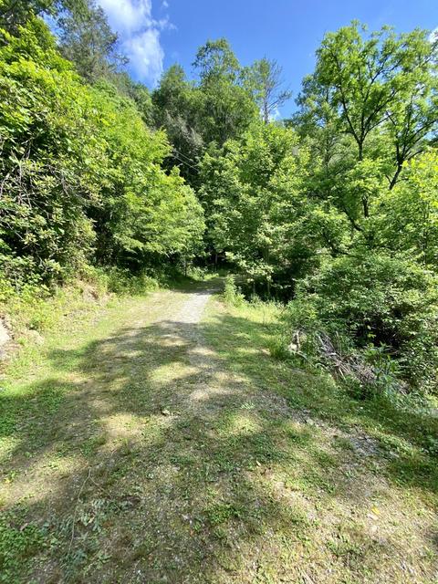 201 Tilson Mountain Road Erwin Tn 37650, Erwin, TN 37650 photo 8