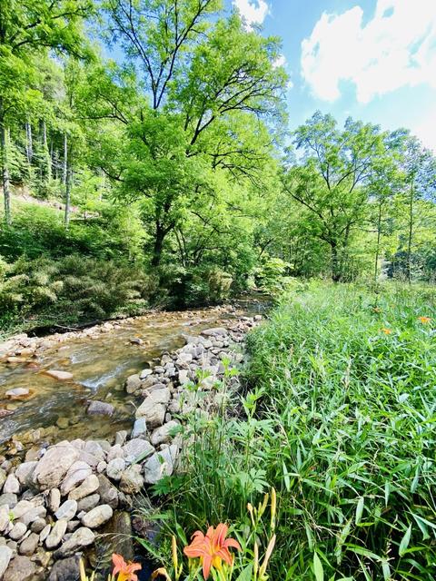 201 Tilson Mountain Road Erwin Tn 37650, Erwin, TN 37650 photo 3