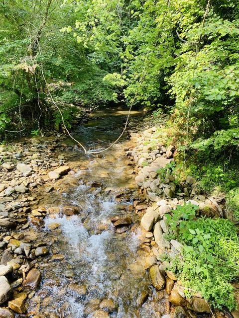 201 Tilson Mountain Road Erwin Tn 37650, Erwin, TN 37650 photo 2