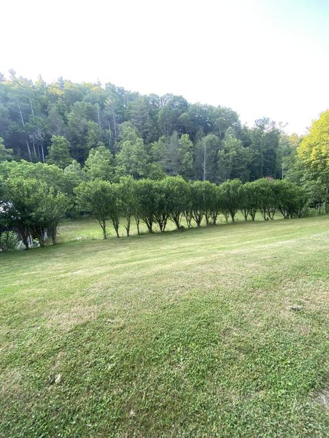 201 Tilson Mountain Road Erwin Tn 37650, Erwin, TN 37650 photo 19