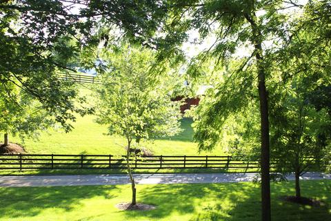 808 N Mohawk Drive Erwin Tn 37650, Erwin, TN 37650 photo 48